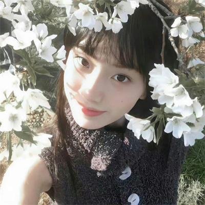 墨菲的战争